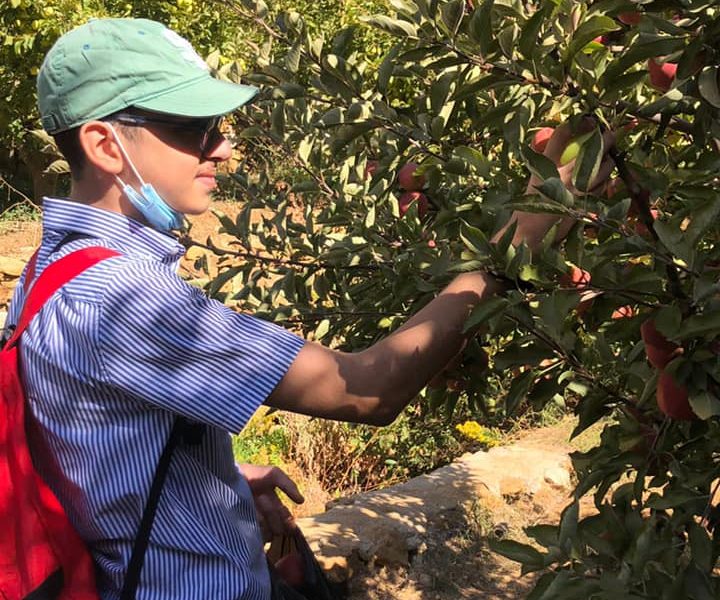 *La cueillette des pommes*:projet interdisciplinaire au CND et au Collège des Frères Deddeh
