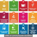 Mont La Salle: Projet X en sciences