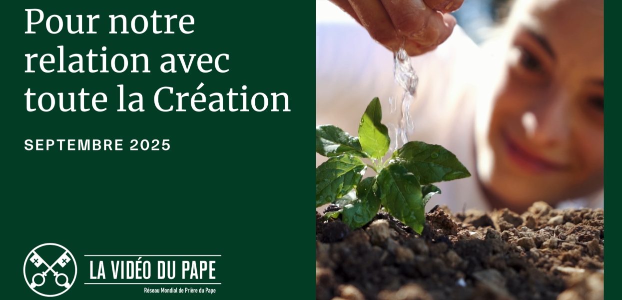 Le Pape Léon XIV : « Toutes les créatures sont aimées de Dieu et dignes d’amour et de respect » Le Pape Léon XIV : « Toutes les créatures sont aimées de Dieu et dignes d’amour et de respect »