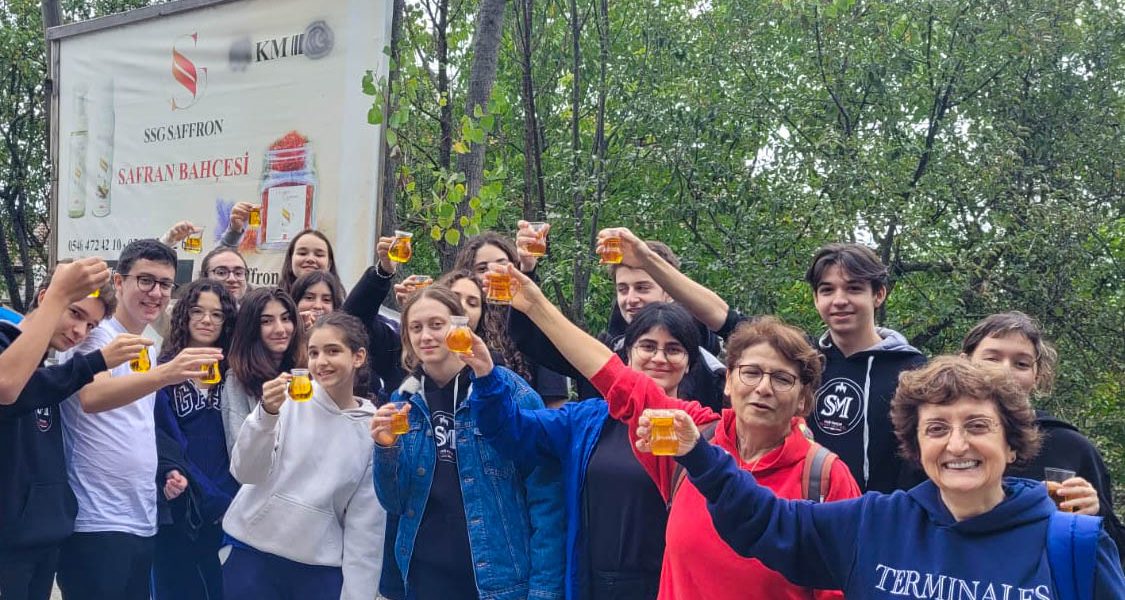 Saint Michel Istanbul: Le Safran, précieuse fleur de Safranbolu Saint Michel Istanbul: Le Safran, précieuse fleur de Safranbolu