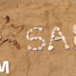 RELEM: Joyeux Noël et  Bonne année 2026.