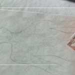 Infographies sur l’ouvrage « D’une communauté à l’autre », du Frère Pedro Gil