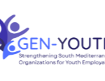 Strengthening Youth Organisations in the Southern Mediterranean:Completion of the Organizational Diagnostics Phase