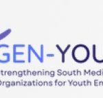 GEN-YOUTH Erasmus+ partners: online meeting